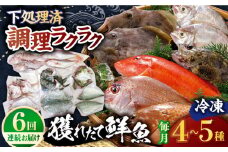 【全6回定期便】【平戸市場直送】旬の獲れたて鮮魚（冷凍）＜4〜5種類＞ 平戸市 / ひらど新鮮市場 [KAB229]