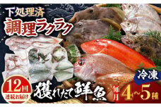 【全12回定期便】【平戸市場直送】旬の獲れたて鮮魚（冷凍）＜4〜5種類＞ 平戸市 / ひらど新鮮市場 [KAB230]