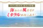 【潮風で育った新鮮米】平戸の棚田米（無洗米）約5kg  
