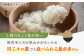 【潮風で育った新鮮米】平戸の棚田米（無洗米）約5kg  