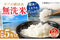 【全12回定期便】【潮風で育った新鮮米】平戸の棚田米（無洗米）約5kg 平戸市 / ひらど新鮮市場 [KAB239]