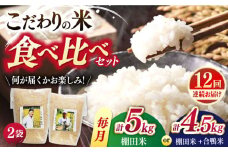 【全12回定期便】こだわりの米食べ比べ 約5kg(2.5kg×2種)or 約4.5kg(棚田米2.5kg＋合鴨米2kg) 平戸市 / ひらど新鮮市場 [KAB242]