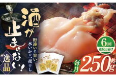 【全6回定期便】【身が厚く柔らかい】漁師の水烏賊一夜干し 約250g（2〜3枚） 平戸市 / 中野漁業協同組合[KAB244]