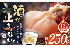 【全12回定期便】【身が厚く柔らかい】漁師の水烏賊一夜干し 約250g（2〜3枚） 平戸市 / 中野漁業協同組合 [KAB245]