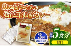 【全3回定期便】【子どもから大人まで】飴色玉ねぎカレー5食セット（甘口） 平戸市 / カレー工房 NVfoods [KAB255]カレー レトルト スパイス ご当地カレー 通販 お取り寄せ グルメ 簡単調理 保存食