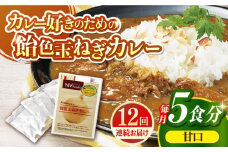【全12回定期便】【子どもから大人まで】飴色玉ねぎカレー5食セット（甘口） 平戸市 / カレー工房 NVfoods [KAB257]カレー レトルト スパイス ご当地カレー 通販 お取り寄せ グルメ 簡単調理 保存食