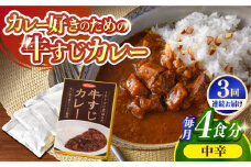 【全3回定期便】【とろっとろになるまで煮込んだ】牛すじカレー 4食セット（中辛） 平戸市 / カレー工房 NVfoods [KAB264]カレー レトルト スパイス ご当地カレー 通販 お取り寄せ グルメ 簡単調理 保存食