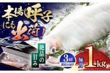 【全3回定期便】【美味しさそのまま瞬間冷凍】平戸極鮮ヤリイカ 約1kg 平戸市 / 海隆丸 [KAB267]平戸極鮮ヤリイカ 瞬間冷凍 500g 通販 お取り寄せ 刺身 新鮮 イカ料理  長崎