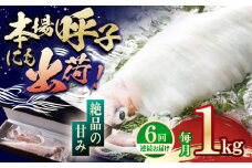 【全6回定期便】【美味しさそのまま瞬間冷凍】平戸極鮮ヤリイカ 約1kg 平戸市 / 海隆丸 [KAB268]平戸極鮮ヤリイカ 瞬間冷凍 500g 通販 お取り寄せ 刺身 新鮮 イカ料理  長崎