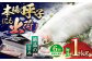【美味しさそのまま瞬間冷凍】平戸極鮮ヤリイカ 約1kg 平戸市 / 海隆丸 