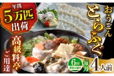 【全6回定期便】活〆おうごんとらふぐ プレミアムセット（4人前）平戸市 / 松永水産 [KAB274]おうごんとらふぐ トラフグ ふぐ フグ 海鮮 高級魚 刺身 鍋 長崎 通販 お取り寄せ