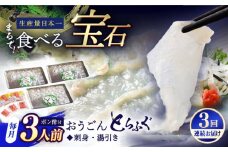 【全3回定期便】活〆おうごんとらふぐ 刺身 セット（3人前） 平戸市 / 松永水産 [KAB276]おうごんとらふぐ 刺身 通販 お取り寄せ 長崎 高級魚 海鮮 グルメ ごちそう トラフグ ふぐ