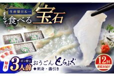 【全12回定期便】活〆おうごんとらふぐ 刺身 セット（3人前） 平戸市 / 松永水産 [KAB278]おうごんとらふぐ 刺身 通販 お取り寄せ 長崎 高級魚 海鮮 グルメ ごちそう トラフグ ふぐ