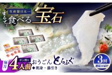 【全3回定期便】活〆おうごんとらふぐ 刺身 セット（4人前） 平戸市 / 松永水産 [KAB279]おうごんとらふぐ 刺身 通販 お取り寄せ 長崎 高級魚 海鮮 グルメ ごちそう トラフグ ふぐ
