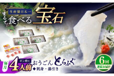 【全6回定期便】活〆おうごんとらふぐ 刺身 セット（4人前） 平戸市 / 松永水産 [KAB280]おうごんとらふぐ 刺身 通販 お取り寄せ 長崎 高級魚 海鮮 グルメ ごちそう トラフグ ふぐ
