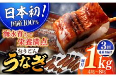 【全3回定期便】【日本初！海水で養殖】長崎県産おうごん うなぎ 松セット 約1kg（4尾〜8尾） 平戸市 / 松永水産 うなぎ 鰻 ウナギ 土用丑の日 九州産 蒲焼 かばやき [KAB285]
