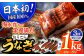 長崎県産おうごん うなぎ 松セット 約1kg（4尾〜8尾） 平戸市 / 松永水産 うなぎ 鰻 ウナギ 土用丑の日 