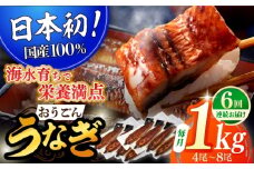 【全6回定期便】【日本初！海水で養殖】長崎県産おうごん うなぎ 松セット 約1kg（4尾〜8尾） 平戸市 / 松永水産 うなぎ 鰻 ウナギ 土用丑の日 九州産 蒲焼 かばやき [KAB286]