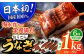 長崎県産おうごん うなぎ 松セット 約1kg（4尾〜8尾） 平戸市 / 松永水産 うなぎ 鰻 ウナギ 土用丑の日 