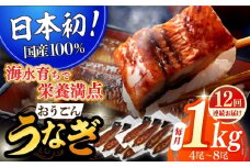 【全12回定期便】【日本初！海水で養殖】長崎県産おうごん うなぎ 松セット 約1kg（4尾〜8尾） 平戸市 / 松永水産 うなぎ 鰻 ウナギ 土用丑の日 九州産 蒲焼 かばやき [KAB287]