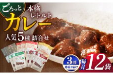 【全3回定期便】【カレー好きのためのアソートセット】カレー工房NVfoodsのカレー5種（12袋）詰め合わせセット [KAB288]カレー レトルト スパイス ご当地カレー 通販 お取り寄せ グルメ 簡単調理 保存食