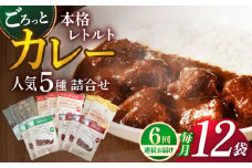 【全6回定期便】【カレー好きのためのアソートセット】カレー工房NVfoodsのカレー5種（12袋）詰め合わせセット [KAB289]カレー レトルト スパイス ご当地カレー 通販 お取り寄せ グルメ 簡単調理 保存食