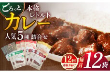 【全12回定期便】【カレー好きのためのアソートセット】カレー工房NVfoodsのカレー5種（12袋）詰め合わせセット [KAB290]カレー レトルト スパイス ご当地カレー 通販 お取り寄せ グルメ 簡単調理 保存食