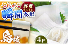イカ 4杯 1パック（冷凍）平戸市/舘浦漁業協同組合 [KAA625]