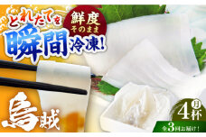 【3回定期便】 イカ4杯 1パック（冷凍）平戸市/舘浦漁業協同組合 [KAA626]