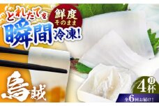 【6回定期便】 イカ4杯 1パック（冷凍）平戸市/舘浦漁業協同組合 [KAA627]