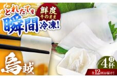 【12回定期便】 イカ4杯 1パック（冷凍）平戸市/舘浦漁業協同組合 [KAA628]