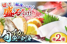 【漁協直送！】獲れたて旬魚の柵2種セット（刺身1種&イカ1種）（2〜3人前）【舘浦漁業協同組合】 [KAA633]刺身 セット 通販 お取り寄せ 新鮮 海鮮盛り合わせ ギフト 贈り物 海鮮丼 手巻き寿司 詰め合わせ 人気 おすすめ