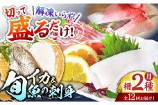 【12回定期便】【漁協直送！】獲れたて旬魚の柵2種セット（刺身1種&イカ1種）（2〜3人前）【舘浦漁業協同組合】 [KAA636]刺身 セット 通販 お取り寄せ 新鮮 海鮮盛り合わせ ギフト 贈り物 海鮮丼 手巻き寿司 詰め合わせ 人気 おすすめ