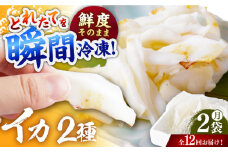 【全12回定期便】イカ2種盛り（胴体＋エンペラ・ゲソ）平戸市/舘浦漁業協同組合 [KAA632]