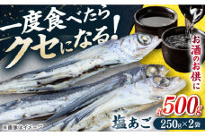 【お酒のお供に！】塩あご250g×2パック 平戸市 / 森崎水産 [KAD305]