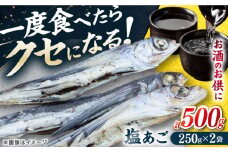 【お酒のお供に！】塩あご250g×2パック 平戸市 / 森崎水産 [KAD305]