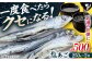 【お酒のお供に！】塩あご250g×2パック 平戸市 / 森崎水産 