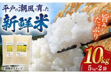 【着日指定 可能】平戸の潮風で育った新鮮米 5kg×2袋（計10kg） 平戸市 / ひらど新鮮市場  [KAB320] 白米 棚田米 お米 米 おこめ こめ はくまい 小分け 便利
