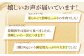 ヒレステーキ / 肩ローススライス / A5ランクハンバーグ / サーロインステーキ / 味付カルビ / リブロースステーキ 