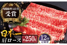 【全12回定期便】長崎和牛 肩ロース スライス 計3.0kg（約250g×12回） 平戸市 / 萩原食肉産業 [KAD325]