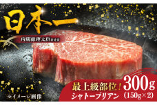 【日本一の和牛】特選 長崎和牛シャトーブリアン 約150g×2枚 平戸市 / 萩原食肉産業 [KAD370]