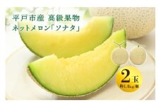 【12月上旬より順次お届け】＜先行予約＞【ていねいに育てた高級果物】平戸市産 ネットメロン「ソナタ」2玉（約1.4kg以上/玉） [KAB097_2312]メロン めろん 果物 フルーツ 甘い 旬 通販 お取り寄せ ギフト プレゼント 