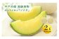 ＜先行予約＞【ていねいに育てた高級果物】平戸市産 ネットメロン「ソナタ」2玉（約1.4kg以上/玉） 