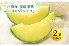 【11月上旬～11月中旬頃お届け】＜先行予約＞【ていねいに育てた高級果物】平戸市産 ネットメロン「ソナタ」2玉（約1.4kg以上/玉） [KAB097_2511]メロン めろん 果物 フルーツ 甘い 旬 通販 お取り寄せ ギフト プレゼント 高級 みずみずしい
