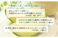 ＜先行予約＞【ていねいに育てた高級果物】平戸市産 ネットメロン「ソナタ」2玉（約1.4kg以上/玉） 