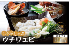 <全3回定期便>【あま～い！おいしい！凝縮された旨み】ウチワエビ しゃぶしゃぶA「刺身・半身セット」計1.8kg（約600g×3回） 平戸市 / ひばり [KAA231]ウチワエビ 海老 エビ 魚介類 海鮮 グルメ 通販 お取り寄せ ギフト プレゼント 長崎