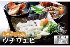 <全6回定期便>【あま～い！おいしい！凝縮された旨み】ウチワエビ しゃぶしゃぶA「刺身・半身セット」 計3.6kg（約600g×6回） 平戸市/ / ひばり [KAA232]