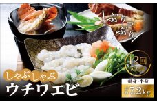 <全12回定期便>【あま～い！おいしい！凝縮された旨み】ウチワエビ しゃぶしゃぶA「刺身・半身セット」計7.2kg（約600g×12回） 平戸市 / ひばり [KAA233]