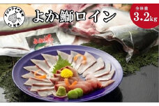 「よか鰤ロイン」柵どり済で扱いやすさ抜群!刺身、煮る、焼きが簡単!!( 鰤 ブリ ぶり 真空パック そのまま アラ 高品質 新鮮 魚 中骨無 ギフト 贈り物 )【D0-025】