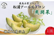 松浦アールスメロン「爽潤果(そうじゅんか)」1玉( メロン アールスメロン ブランド 人気 甘い 美味しい おいしい ギフト 期間限定 糖度14度以上 濃厚 芳醇 松浦 松浦市 長崎 長崎県 )【A8-032】